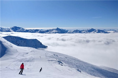 体育总局冬运中心关于选派2023-2024赛季全国高山滑雪冠军赛技术官员的函