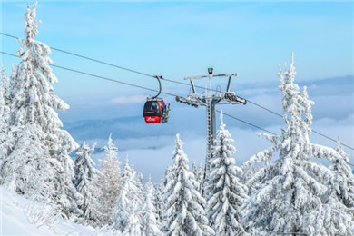 冬运中心关于公开征集2023-2024赛季全国自由式滑雪和单板滑雪气垫大跳台青少年锦标赛承办单位的通知