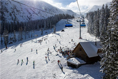 体育总局冬运中心关于发布高山滑雪裁判员培训班的通知