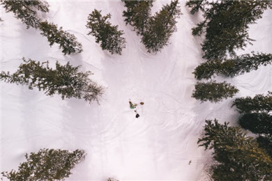 滑雪板单板选购指南，单板滑雪板怎么选？（三）单板的长度和形状怎样选择